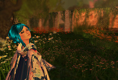 falloiran_010