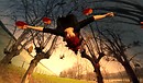 Fall