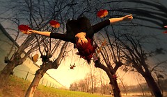 Fall