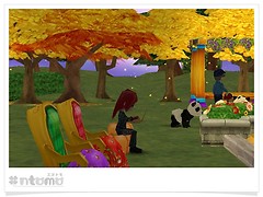 20091118_ntomo1