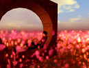 solitude