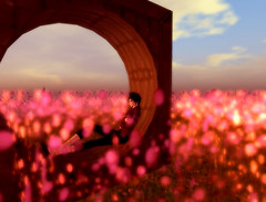 solitude