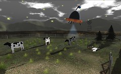 The Field