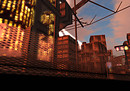 Untitled Photohunt Shot