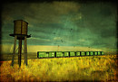 Life`s a journey...