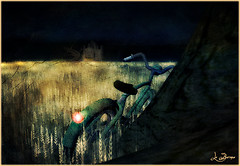 A piedi, di notte