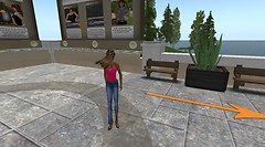 nmc_001