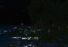 island_001
