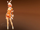 JOBATRA_bunni