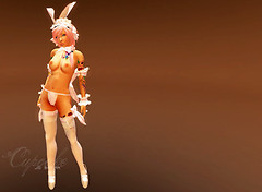 JOBATRA_bunni