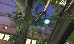 looking through the roof - Torley Olmstead