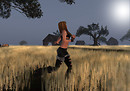 Run in the Sun 1