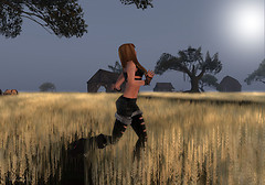 Run in the Sun 1