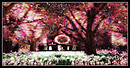 Radiant Bliss Music Project*§*The Forest