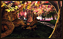 Radiant Bliss Music Project*§*The Forest