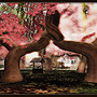 Radiant Bliss Music Project*§*The Forest