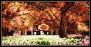 Radiant Bliss Music Project*§*The Forest