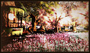 Radiant Bliss Music Project*§*The Forest