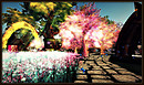 Radiant Bliss Music Project*§*The Bazar