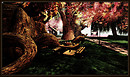 Radiant Bliss Music Project*§*The Forest