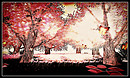 Radiant Bliss Music Project*§*The Forest