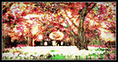 Radiant Bliss Music Project*§*The Forest