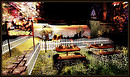 Radiant Bliss Music Project*§*The Camping