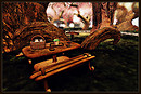 Radiant Bliss Music Project*§*The Forest