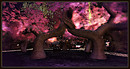 Radiant Bliss Music Project*§*The Forest