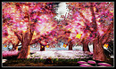 Radiant Bliss Music Project*§*The Forest