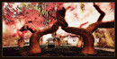 Radiant Bliss Music Project*§*The Forest