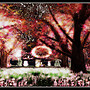 Radiant Bliss Music Project*§*The Forest