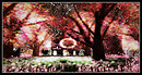 Radiant Bliss Music Project*§*The Forest