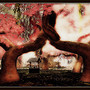 Radiant Bliss Music Project*§*The Forest