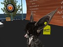 Ear Tag - Linden - Is it for real? - Jones Rhapsody