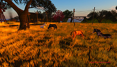 Pixel Mode_017_edit
