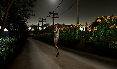 Roads