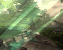 Woods of Whimsy