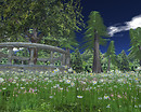 Woods of Whimsy