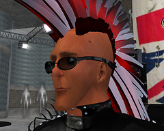 Dingo at The Social Scene