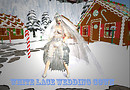 whithe Snow Lace wedding gown_033333