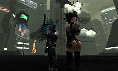 INSILICO NORTH