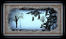 WINTER 2
