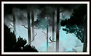 Misty Forest