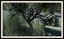 Stone Circle