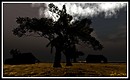 Pixel Mode [PM] @ T Town