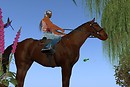 Horse update... - hynesyte Harbour