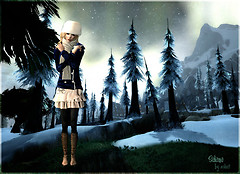 novembre 09