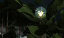 valhal_light
