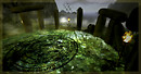 Freyja's Circle